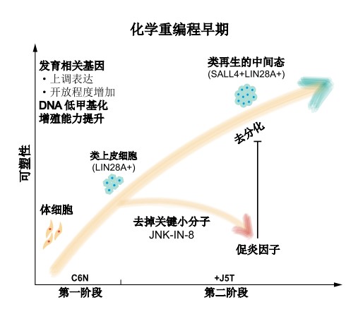 亚游集团·ag8(中国)官网-只為非同凡享