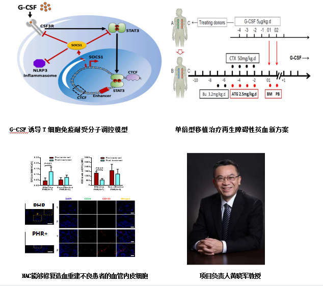 亚游集团·ag8(中国)官网-只為非同凡享